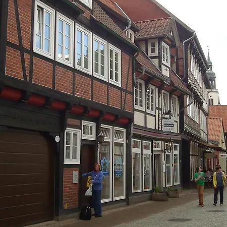 Wachholz, Celle