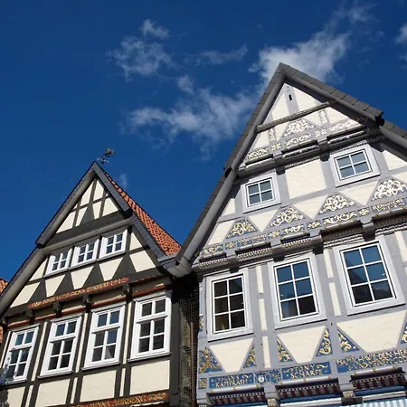 Wachholz,