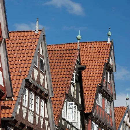 Wachholz, Celle